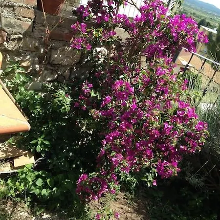 Il Giardino Di Frullino. Apartament