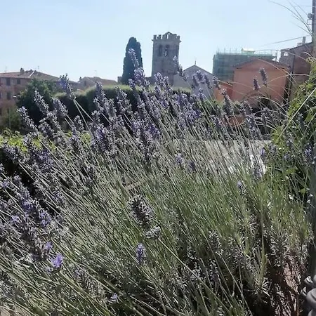 Il Giardino Di Frullino. Apartament Suvereto